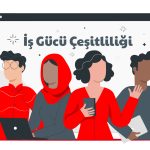 is gucu cesitliligi nedir